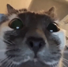 Uživatelský avatar